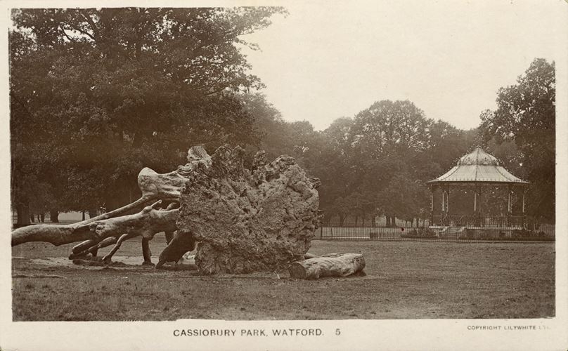 A general view showing an upturned tree trunk in the foreground and a bandstand beyond.