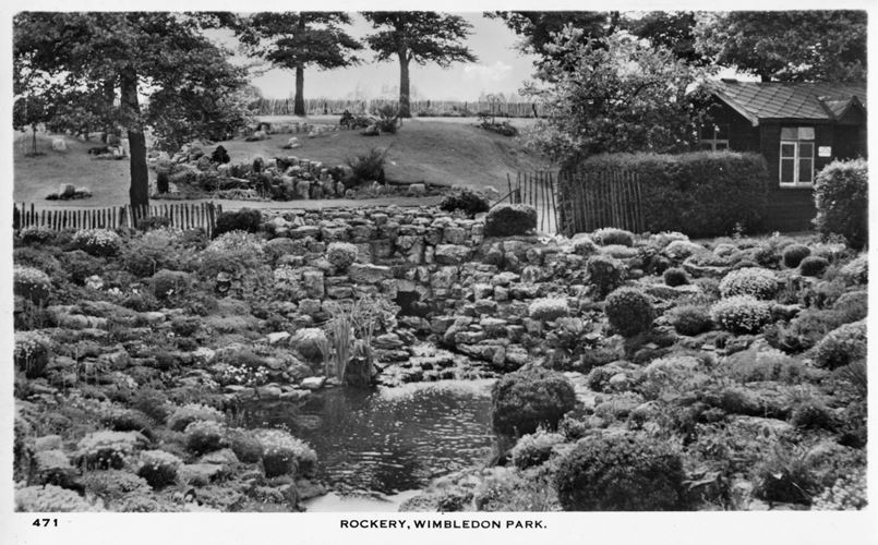 A general view of a rockery.