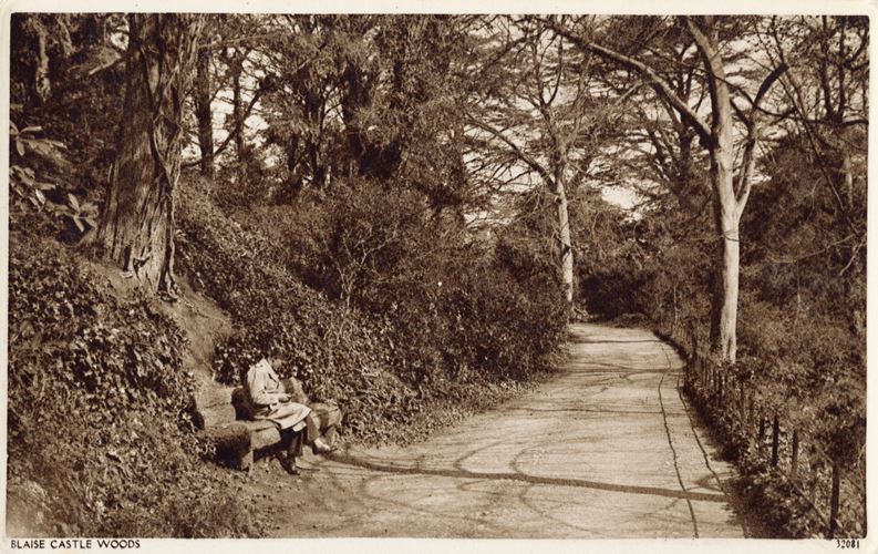 A general view showing a footpath in Blaise Castle Woods
